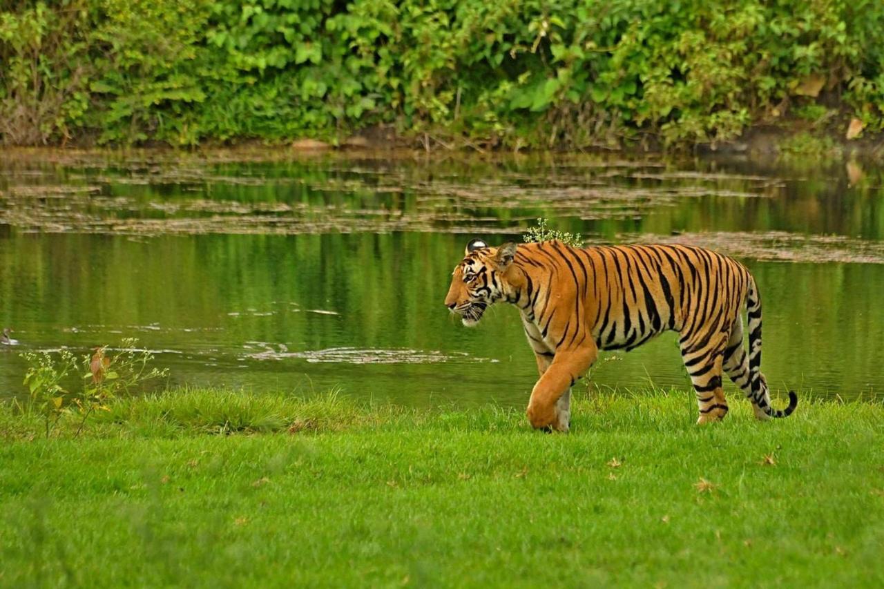 Sargur Jungle Trailz Kabini B&B 외부 사진